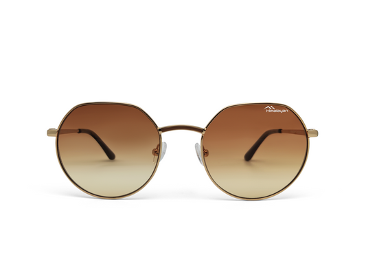 DriveVision - Himalayan 202