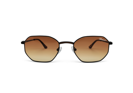 DriveVision - Himalayan 203